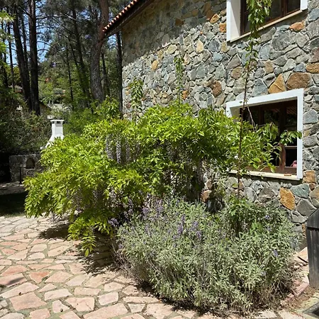 Villa Rose Garden Platres