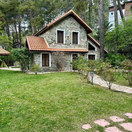 Villa Rose Garden