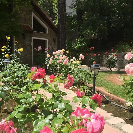 Rose Garden