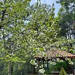 Villa Rose Garden