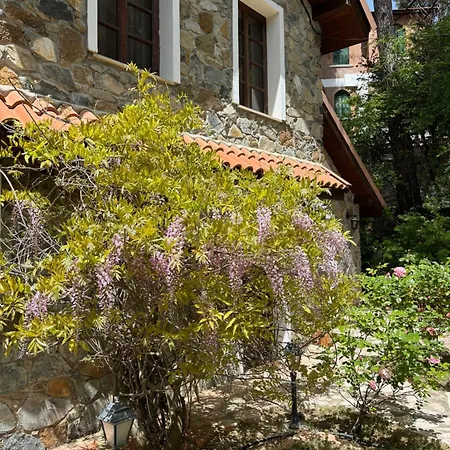Villa Rose Garden Platres