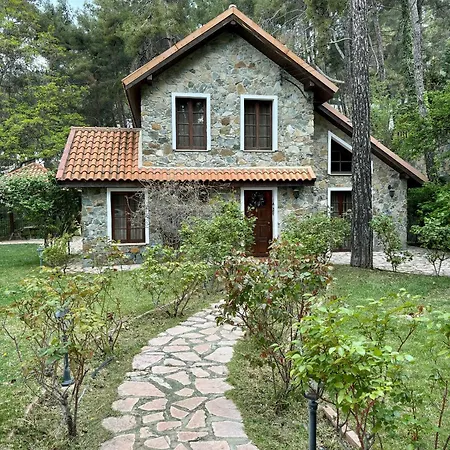 Villa Rose Garden *